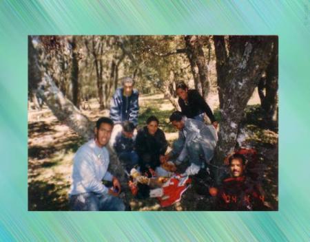 ����� ���� ��������